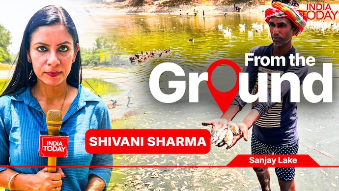 A punishing heatwave and broken water pipeline have turned Delhi’s Sanjay Lake into a graveyard for fish. (Photo: Vikram Gautam/India Today) A punishing heatwave and broken water pipeline have turned Delhi’s Sanjay Lake into a graveyard for fish. (Photo: Vikram Gautam/India Today)