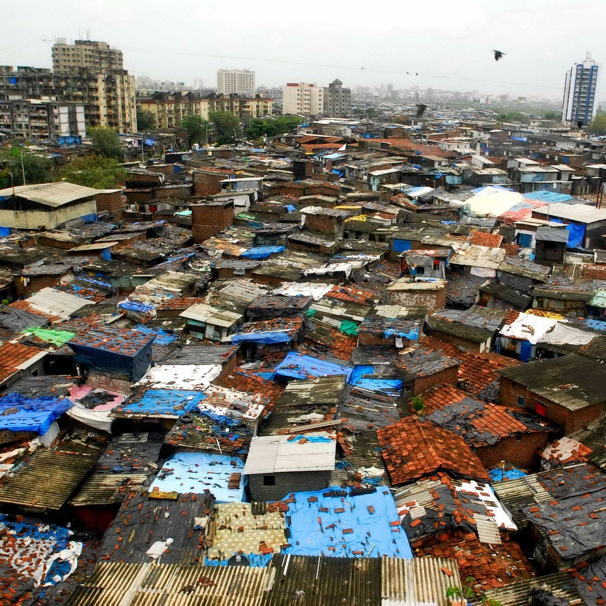 After Garib Nagar demolition, Mumbai's train-window gaze turns towards more slums