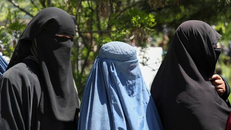 Virgin girl's silence is consent: Taliban legalises child marriage in Afghanistan