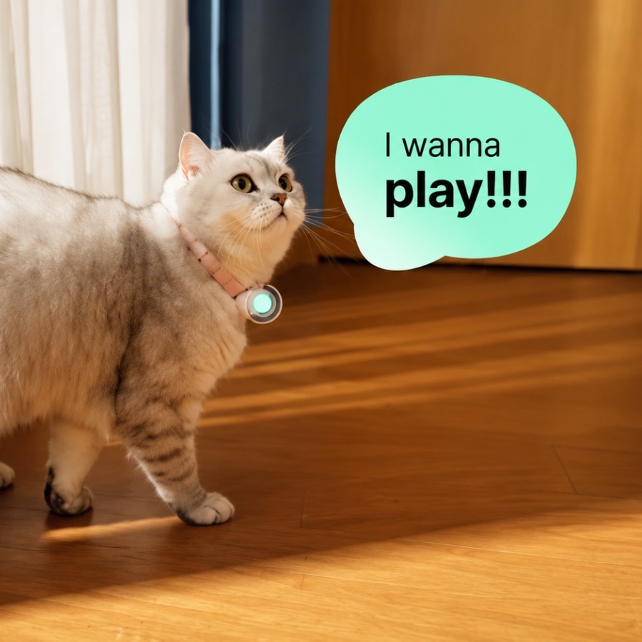 Chinese startup claims new AI collar will let your pet talk to you