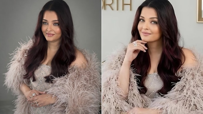 Aishwarya Rai Bachchan's new Cannes look in feathered couture. Credit: Instagram/eTweetBlog/Ian Amjad) Aishwarya Rai Bachchan's new look in feathered dress