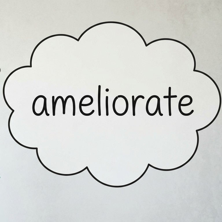 Word of the day: What 'ameliorate' means and how to use it right