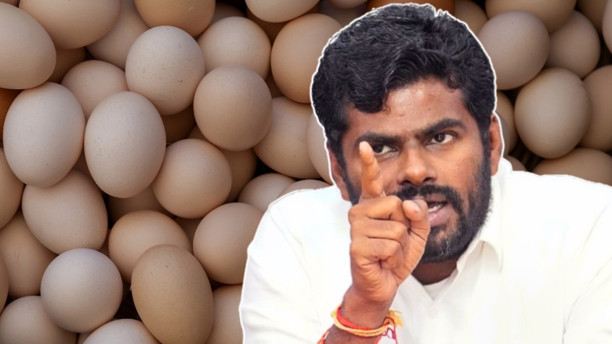 Contractors hoarded 200 million eggs at low cost for midday meals in TN: Annamalai