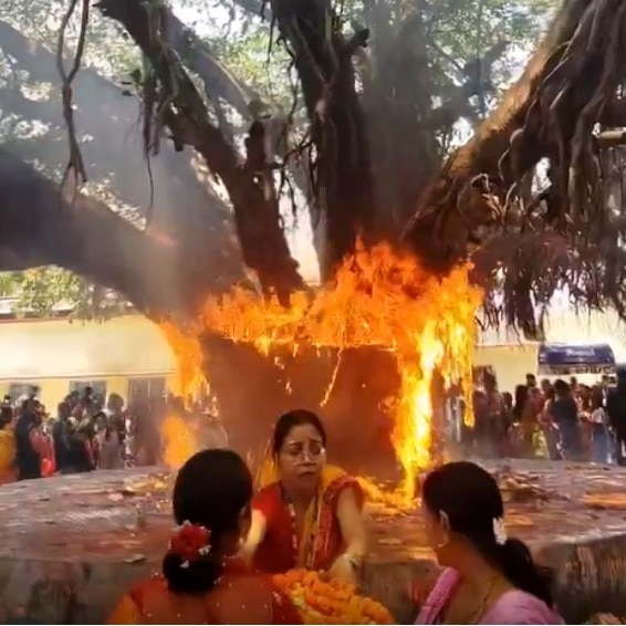 Flames engulf banyan tree during Vat Savitri puja in Bihar