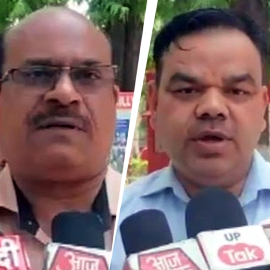Schools in UP's Bareilly told to collect straw for stray cattle, teachers protest