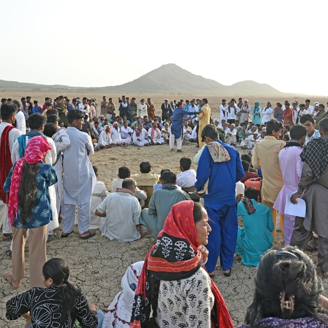 Wetland greens or energy clean? Why Kutch pastoralists are in protest