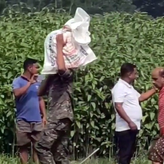 Rs 2.24 crore and counting: Cash found buried in field near TMC leader's house