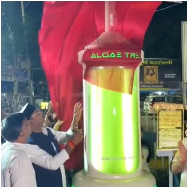 Bhopal introduces futuristic ‘Algae Tree’ to fight pollution