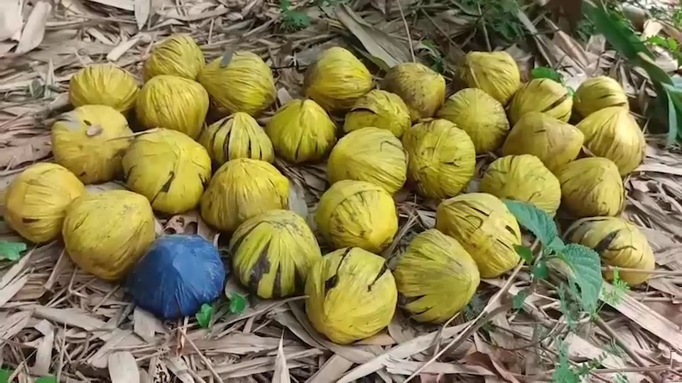 31 live bombs found stacked in a row in Bengal's Birbhum, area sealed