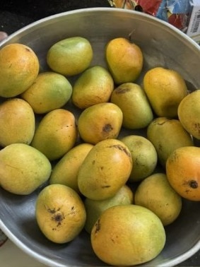 Soaking mangoes before eating: why it helps remove pesticides, sap and heat  - India Today