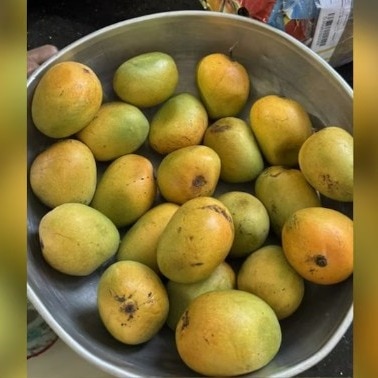 Why you should always soak mangoes in water before eating them