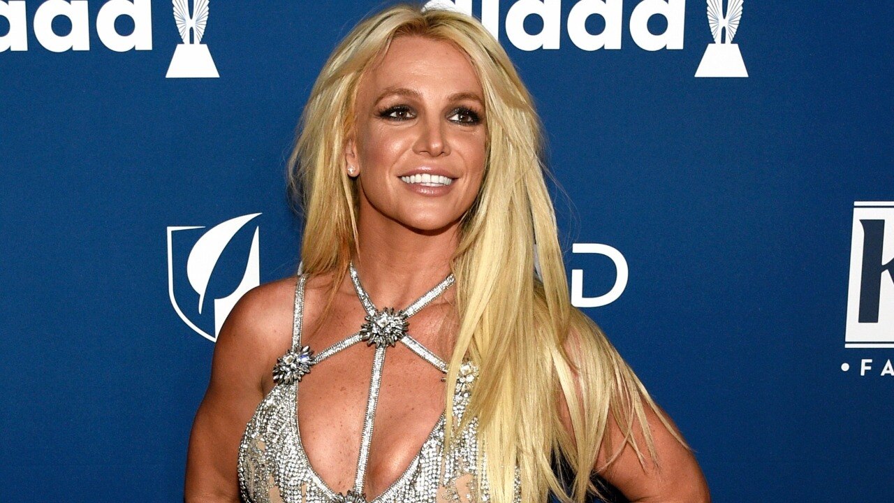Did Britney Spears bark, wave a knife at a restaurant? Singer's team reacts