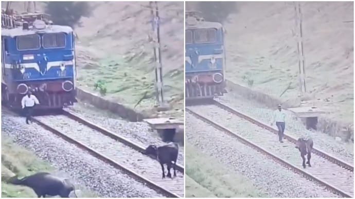 A video showing an alert loco pilot shooing a buffalo from the tracks has gone viral. (Photo: X) buffalo train