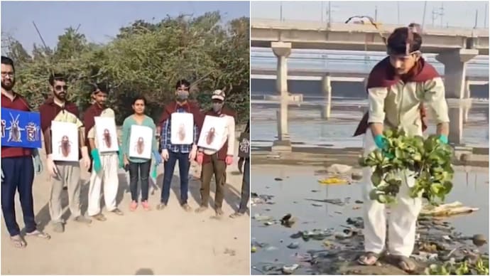 A video showing young volunteers in Delhi dressed as cockroaches at Yamuna is viral. (Photo: X) cockroach