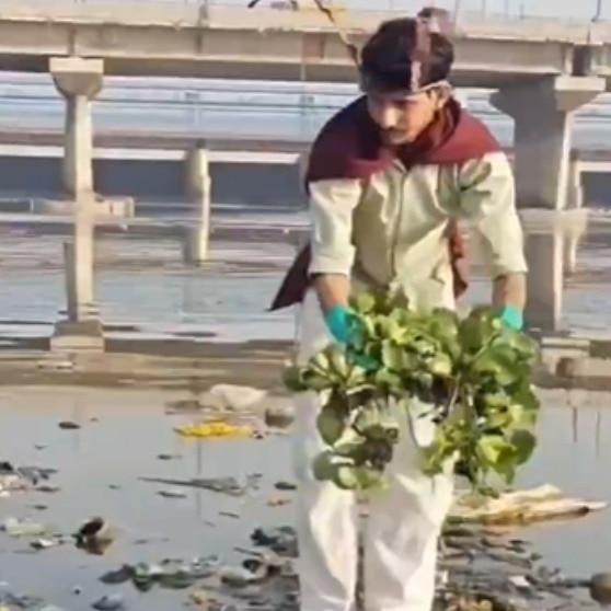Delhi youth turn 'cockroaches', clean up Yamuna river as protest