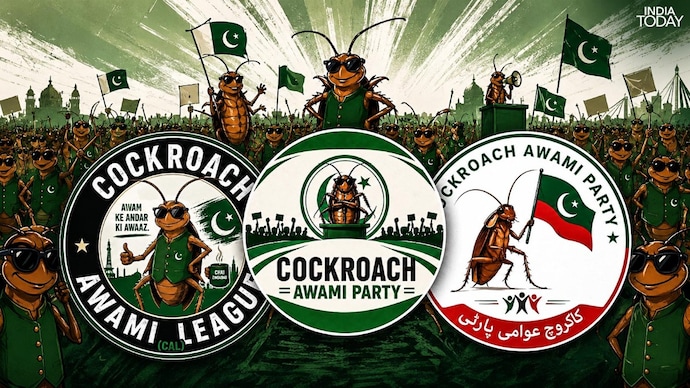 Instagram/X) Cockroaches cross the border as CJP inspired accounts spring up in Pakistan.