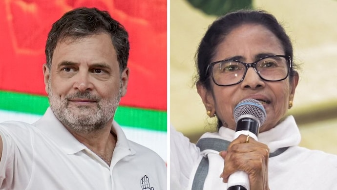 Congress celebrates Kerala win, distances from TMC’s Bengal loss (Photo: PTI) rahul gandhi smiling mamata banerjee