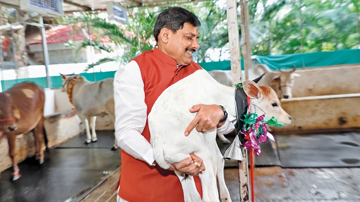Madhya Pradesh | The big dairy push