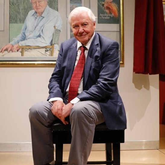 When a bird tested David Attenborough's patience deep inside a jungle