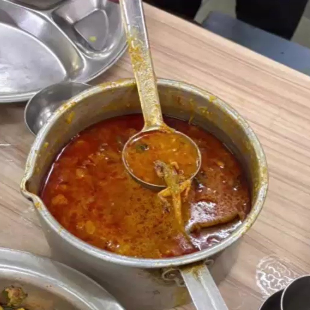 Lizard found in chicken curry at BHU hostel mess in Varanasi sparks protest