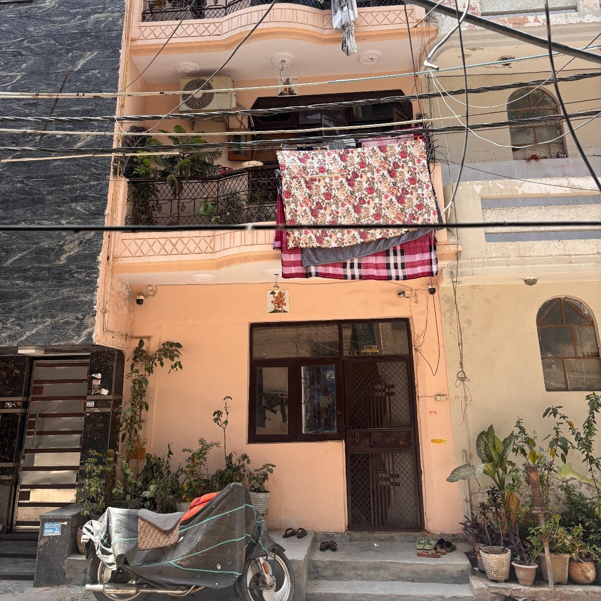 Delhi help steals gold, cash; turns home into fortress with 15 dogs to evade arrest