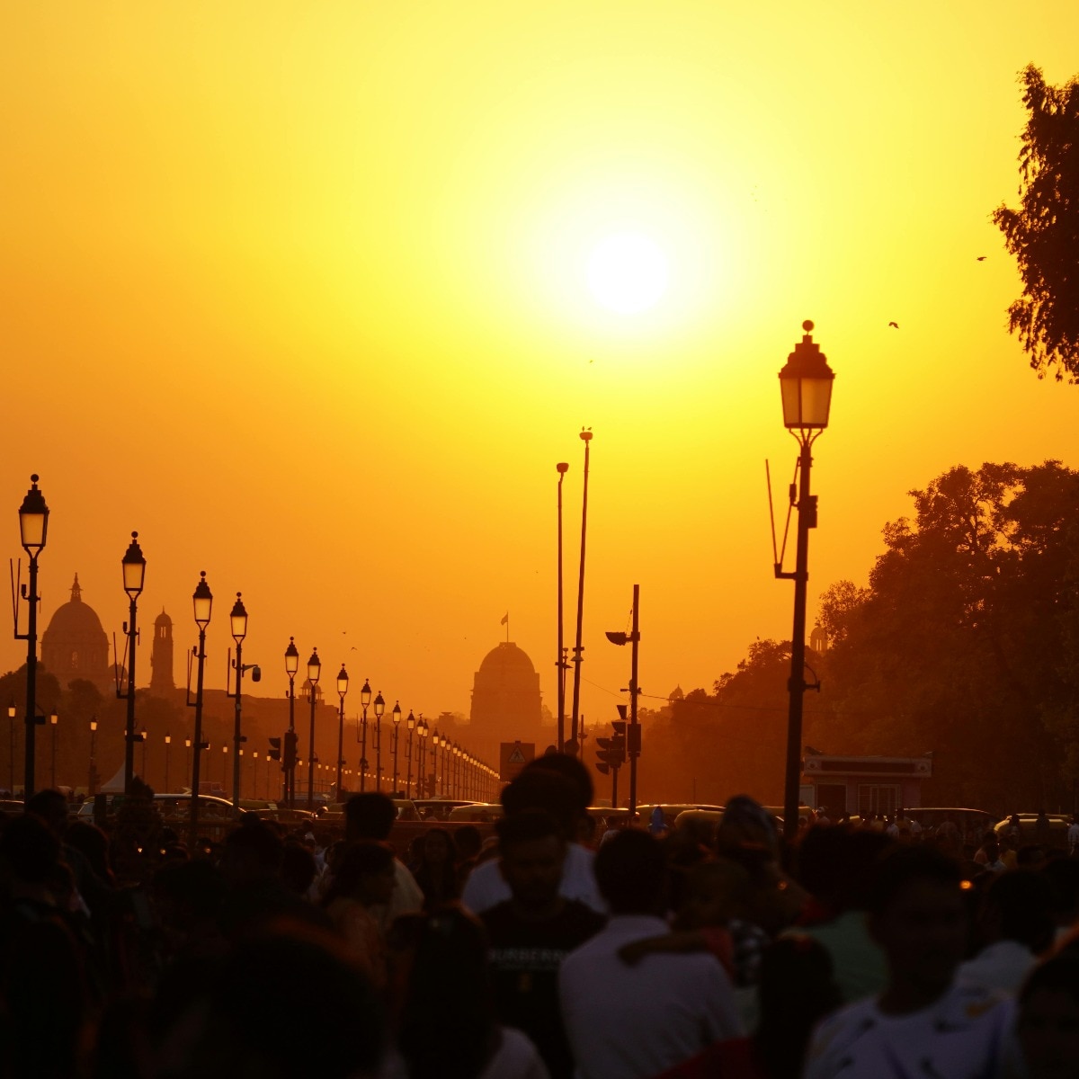 Delhi roasts at 44°C, weather conditions set for temperature to go to 45°C