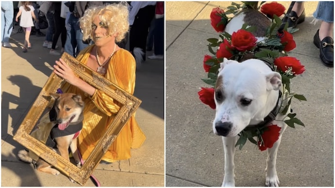 Dogs in gowns, cats in pearls, this Pet Gala is the internet’s new obsession (Photos: @mochi_the_doxie/Instagram) Dogs in gowns, cats in pearls, this Pet Gala is the internet’s new obsession
