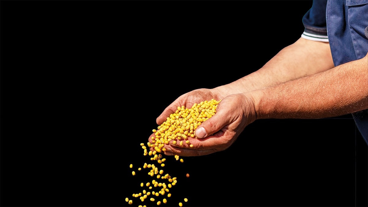 Draft Seeds Bill 2025 | Sowing change