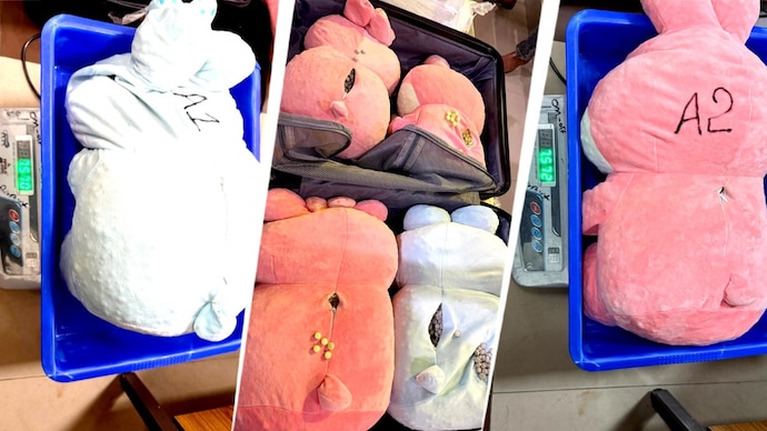 The concealed packets were carefully embedded inside the stuffing of the toys. Amritsar airport drug bust reported