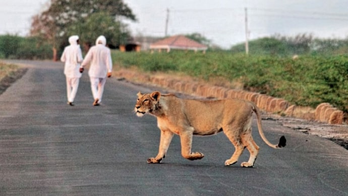 Photo credit Rajan Joshi