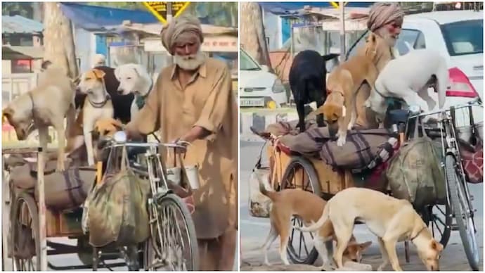 Elderly rickshaw driver gives ride to 5 stray dogs, video will leave you emotional (Photos: @TheViditsharma/X) Elderly rickshaw driver gives ride to 5 stray dogs, video will leave you emotional