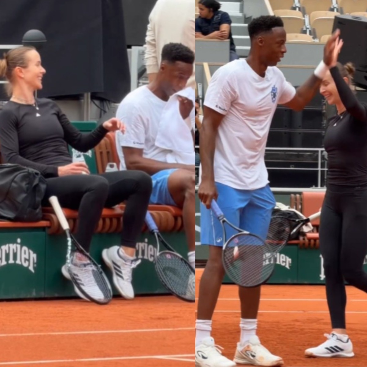 Elina Svitolina, Gael Monfils