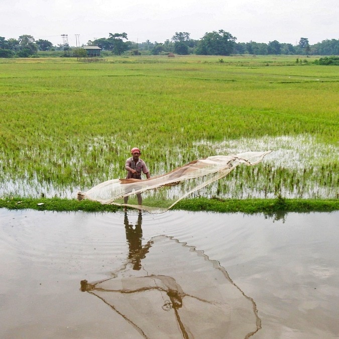 Heatwave, tariff, war, El Nino: India's food security stretched and stressed