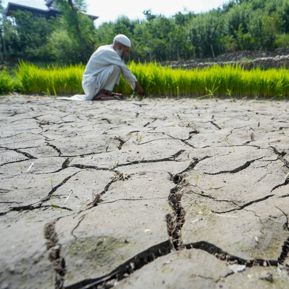 El Nino confirmed, alert sounded by Australia: Should India be worried?