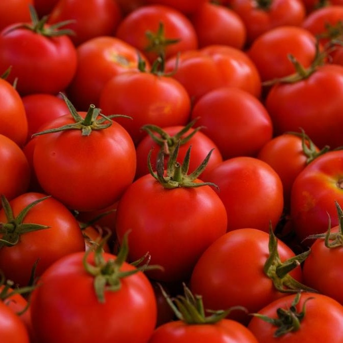 Tips for preserving tomatoes