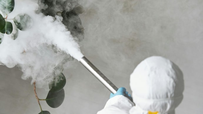 From termites during monsoon to rodents in winter, here’s a simple seasonal pest control guide to help protect your home and prevent infestations throughout the year.