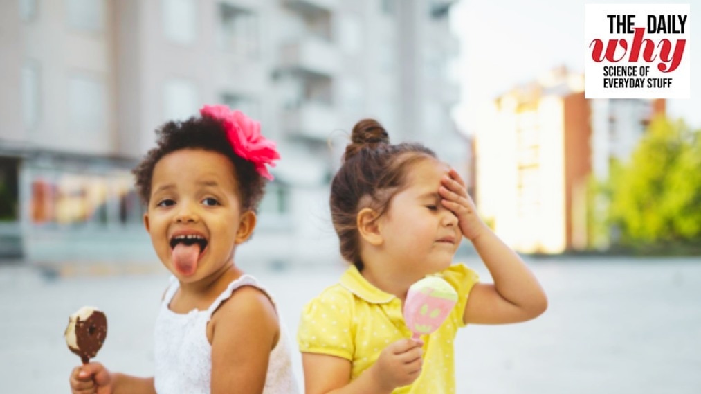Why ice cream gives you a headache: Science behind brain freeze decoded