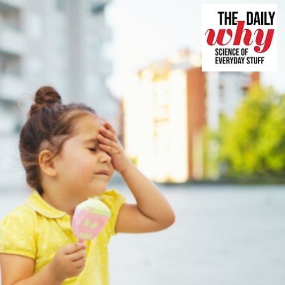 Why ice cream gives you a headache: Science behind brain freeze decoded
