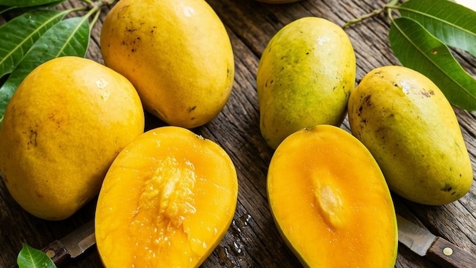 Safeda and Dashehri remain two of India’s most popular summer mango varieties.