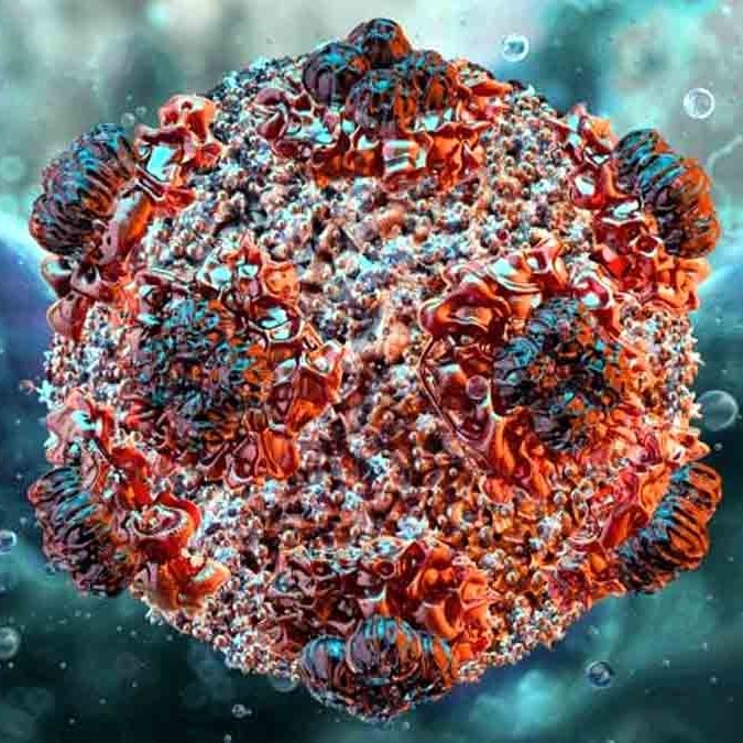 Israel confirms first hantavirus case, patient travelled to Eastern Europe