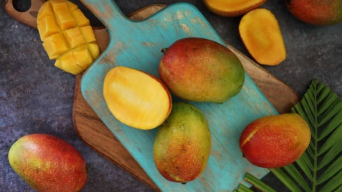 In many tropical regions, mangoes are commonly transported at temperatures between 26°C-30°C. (Representational Photo) health benefits of mangoes