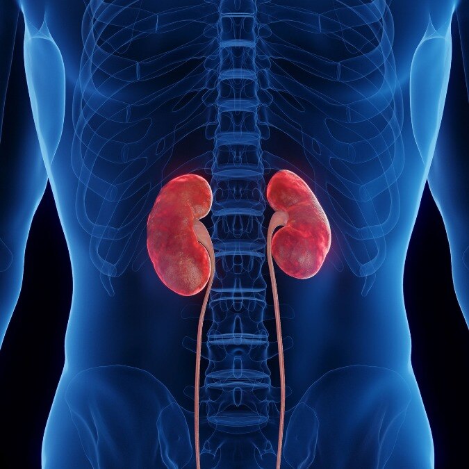Kidney disease may emerge only after severe damage, doctor warns