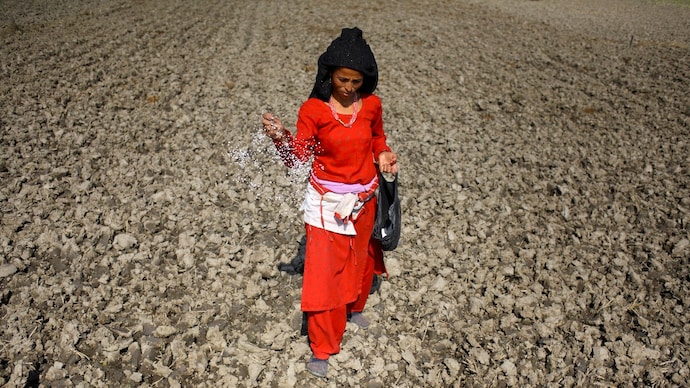 A Nepalese farmer scattering fertilizers on a field. The country is experiencing a shortfall in fertiliser talks as the Iran war continues to drive up prices. (Image: Reuters) India to help Nepal with cheap fertiliser.
