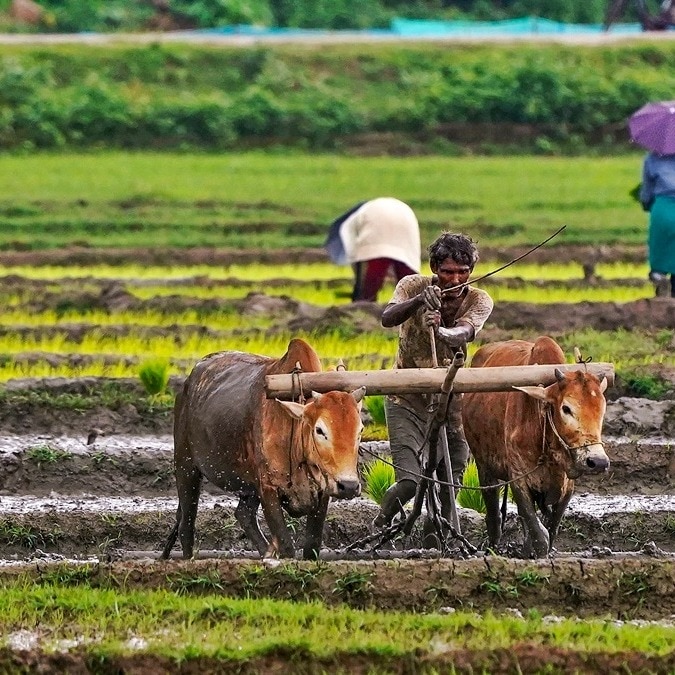 Why the 2026 monsoon rain could change everything for India