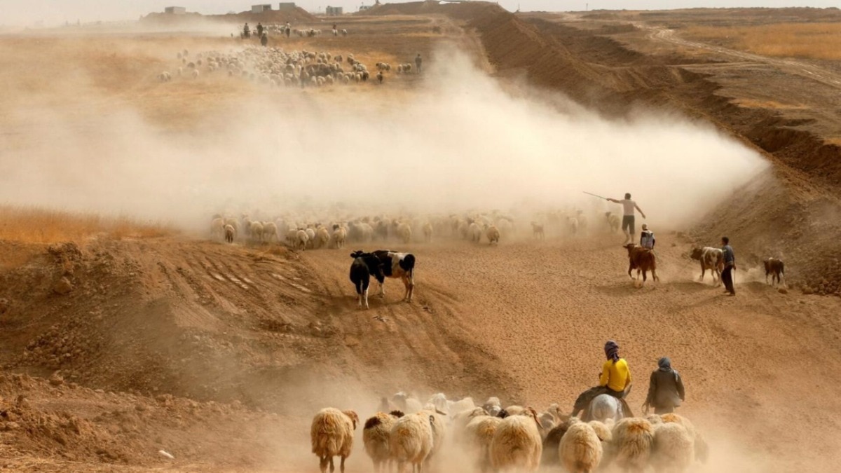 Israel secretly ran Iran war base in Iraq until a shepherd exposed it