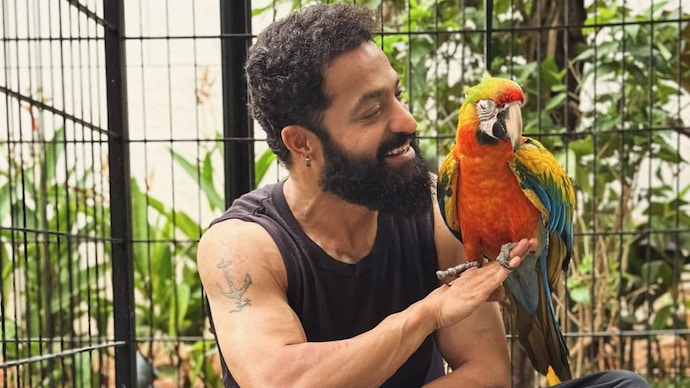 Jr NTR introduced his pet macaws Asahi and Yuuhi on 43rd birthday. (Photo: Instagram)