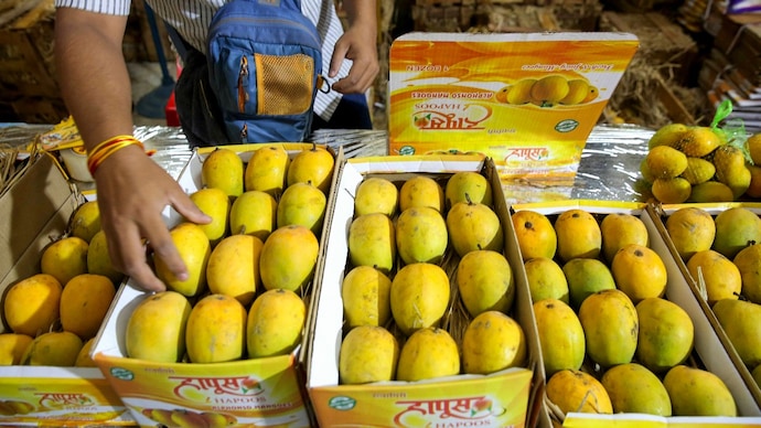 A vendor places Alphonso mangoes on sale. (Photo: PTI) King has fallen: How India's Alphonso mangoes have been hit by weather, war