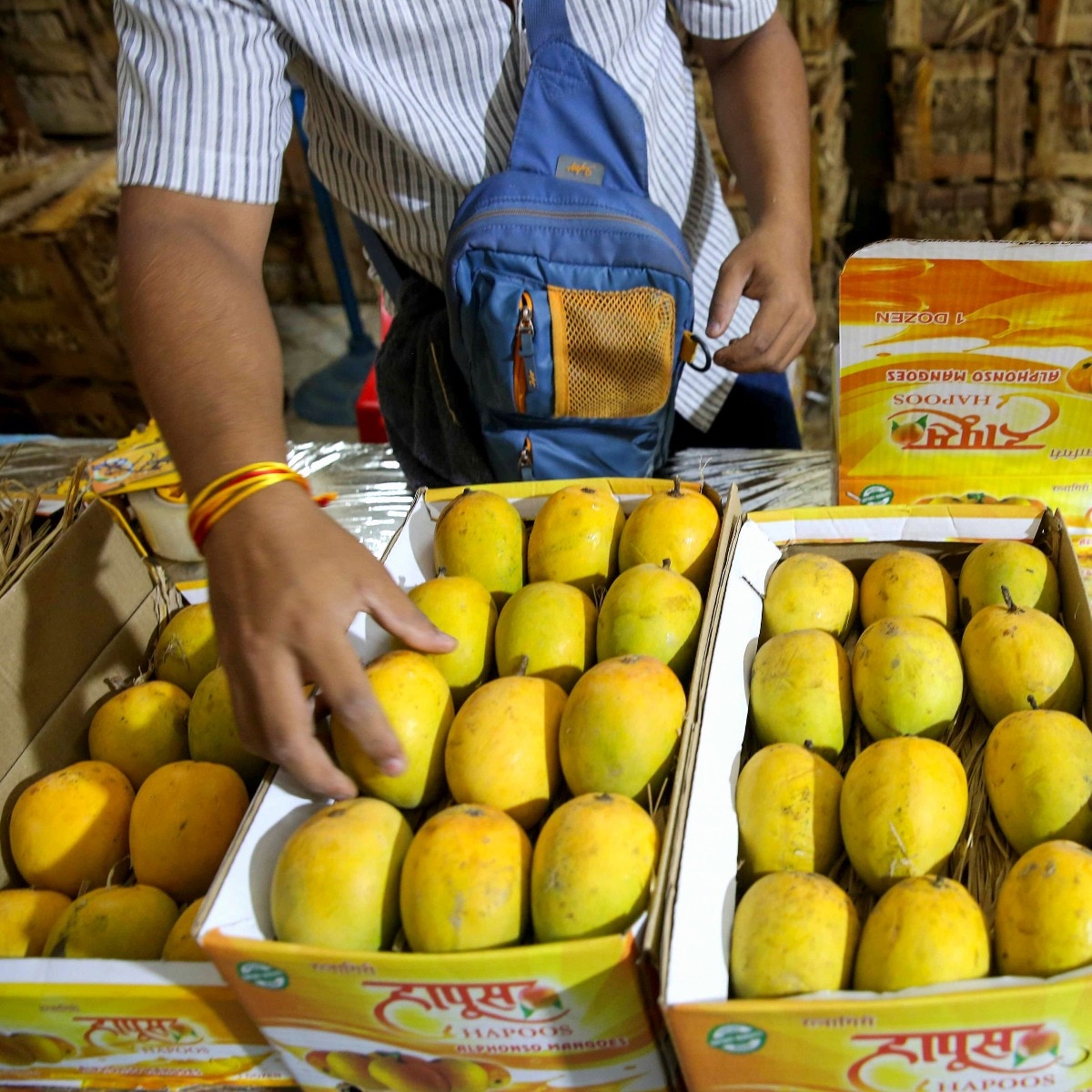 How India's Alphonso mangoes are bleeding due to war and weather