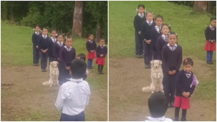 Sikkim school assembly turns wholesome as fluffy guest joins students in prayer (Photos: @prasnna_02/Instagram) kkim school assembly turns wholesome as fluffy guest joins students in prayer