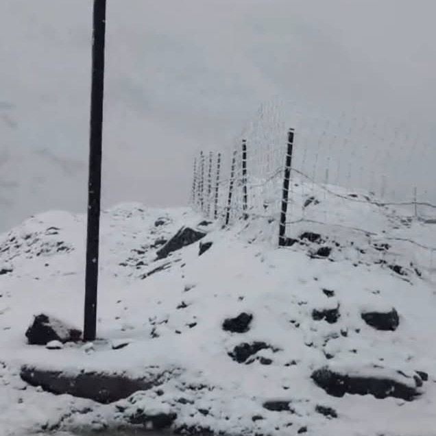 Snowfall in May: Unseasonal rain, snow turns dry Zojila white